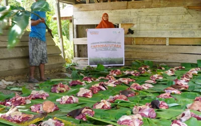 Sedekah Daging Disalurkan Ke Taput